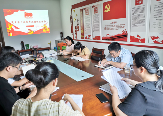 爱游戏(ayx)中国官方网站党支部召开党史学习教育专题组织生活会