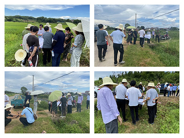 爱游戏(ayx)中国官方网站组织召开万安县2022年度统筹整合资金推进高标准农田建设项目初步设计的评审会