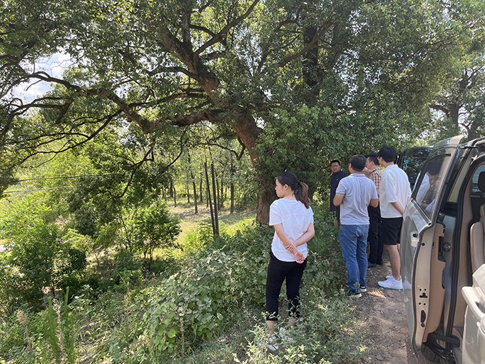 爱游戏(ayx)中国官方网站组织召开万安县通津河河流整治工程项目初步设计评审会