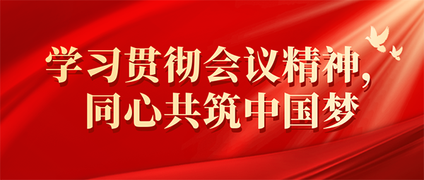 爱游戏(ayx)中国官方网站党支部开展学习党的二十大报告系列活动