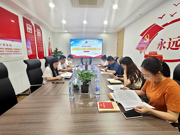 爱游戏(ayx)中国官方网站党支部开展“感悟奋斗历程 砥砺强国之志”主题党日活动