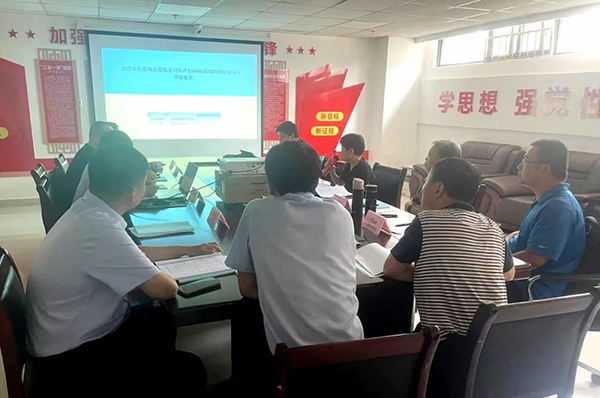 爱游戏(ayx)中国官方网站组织召开年产15000t玻璃胚珠建设项目节能报告评审会