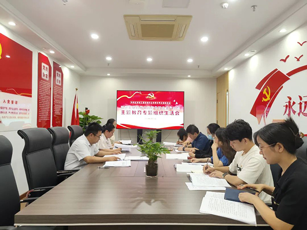 爱游戏(ayx)中国官方网站党支部召开主题教育专题组织生活会