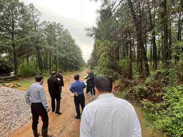 爱游戏(ayx)中国官方网站组织开展上饶市重点区域森林防火阻隔系统生物防火林带鄱阳建设项目初步设计评审会