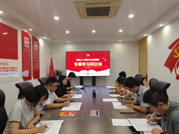 爱游戏(ayx)中国官方网站党支部召开党的二十届三中全会精神专题学习会